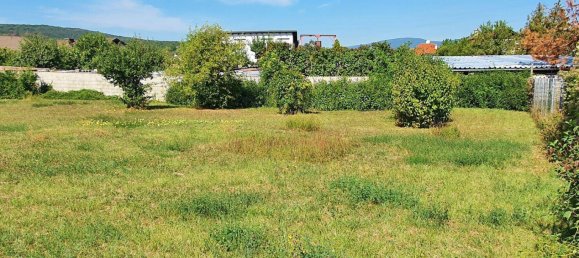 Terreno en Enzesfeld-Lindabrunn, Austria No. 37342 3