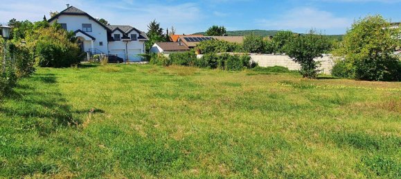 Terreno en Enzesfeld-Lindabrunn, Austria No. 37342 2