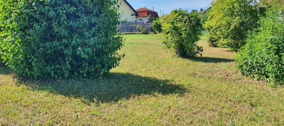 Terreno en Enzesfeld-Lindabrunn, Austria No. 37342 4