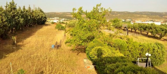 Propriedade comercial T3 em Oraiokastro, Greece N.º 4825 19