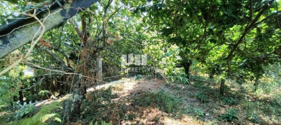 Grundstück in Viana do Castelo, Portugal 394m², Nr. 243563 2