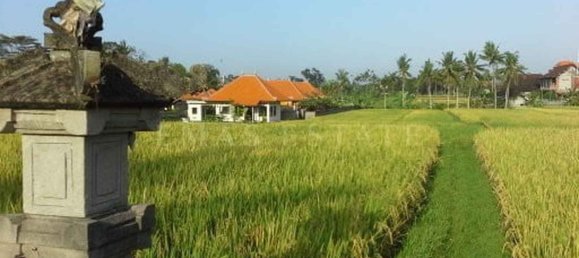 1 bedroom Villa in Gianyar, Indonesia No. 15 6