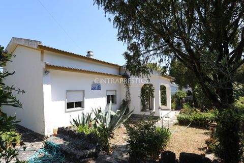 3 chambres Maison à Sintra, Portugal No. 253555
