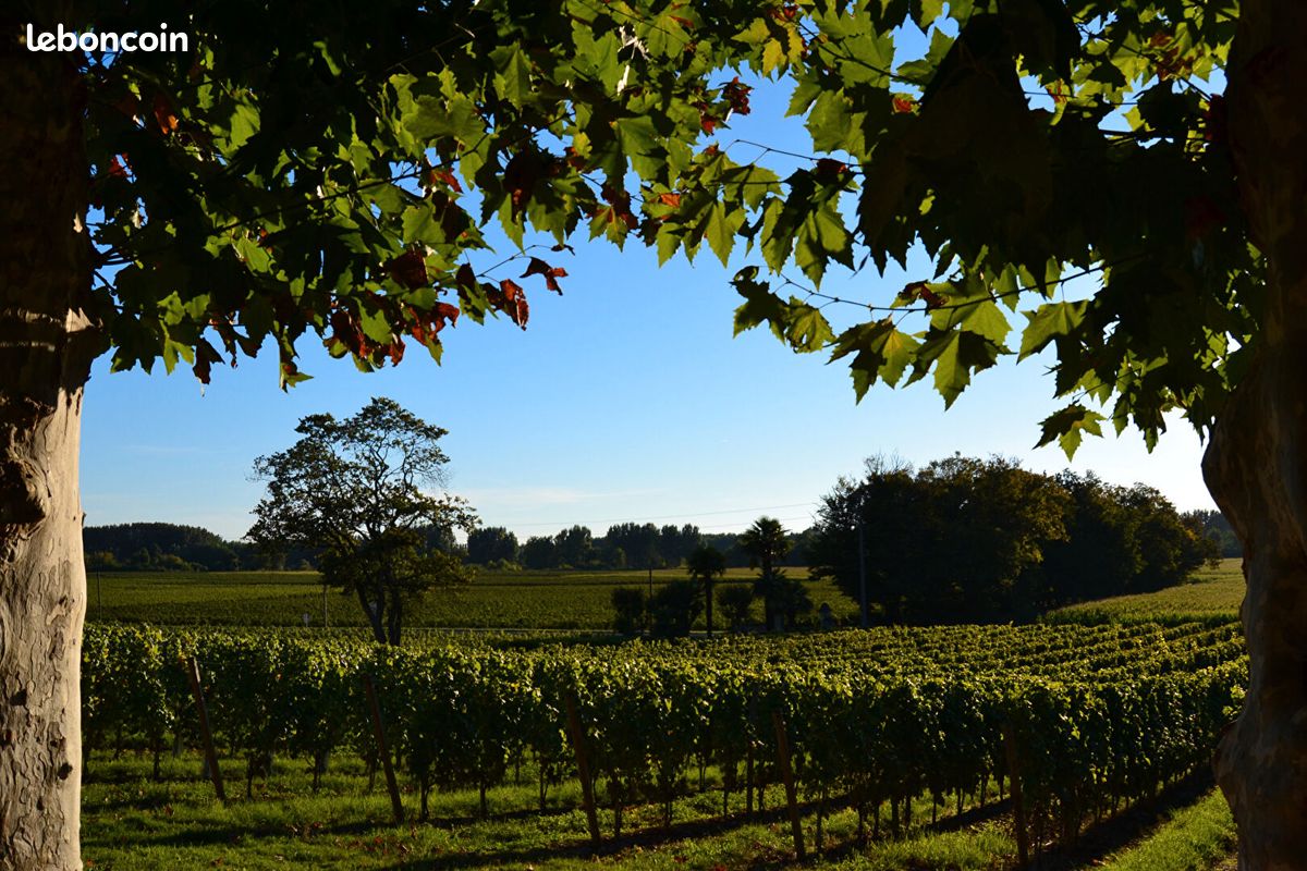 Земельный участок с 20 комнатами в Бегэ, Франция № 340771