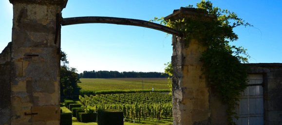 Земельный участок с 20 комнатами в Бегэ, Франция № 340771 3