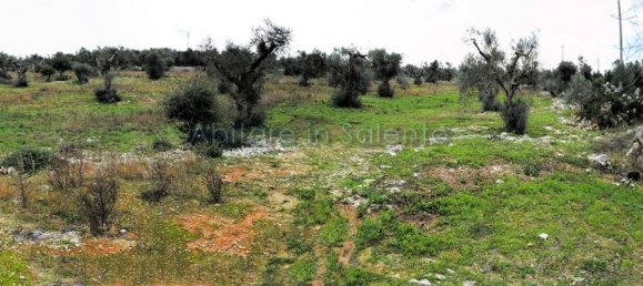 Terrain à Presicce Acquarica, Italy No. 62813 4