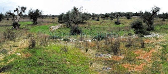 Terrain à Presicce Acquarica, Italy No. 62813 3