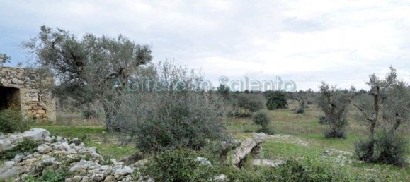 Terrain à Presicce Acquarica, Italy No. 62813 10