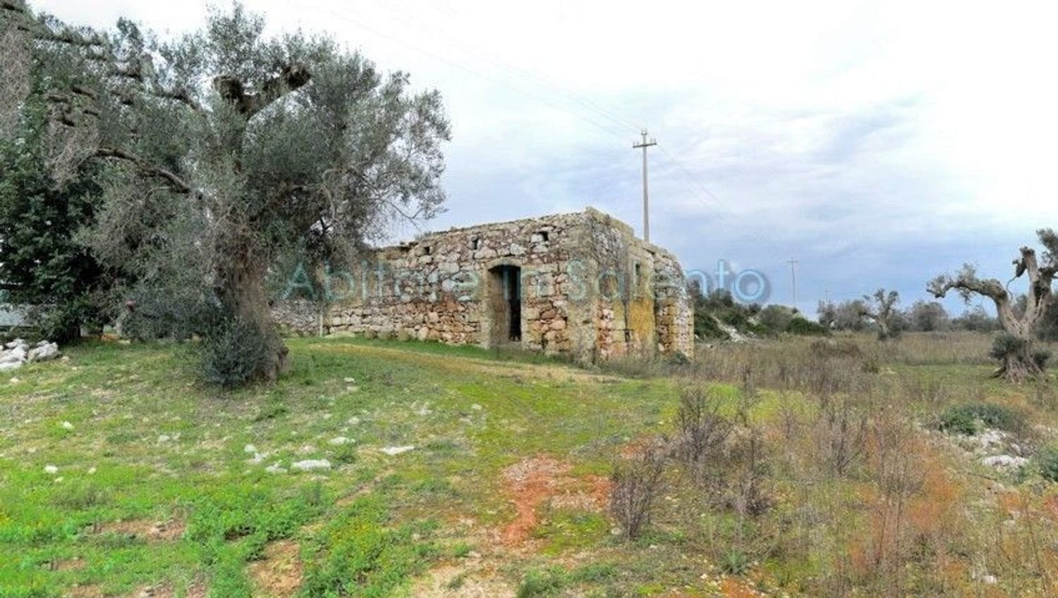Terrain à Presicce Acquarica, Italy No. 62813