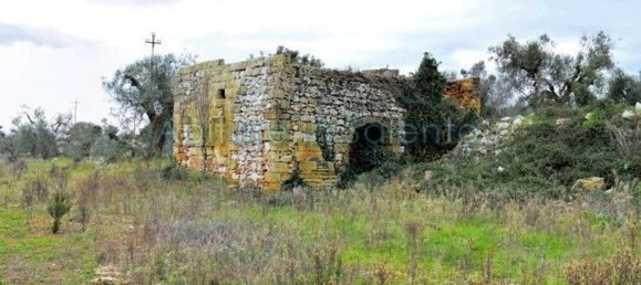 Terrain à Presicce Acquarica, Italy No. 62813 6