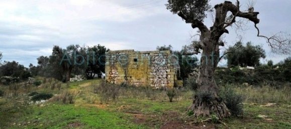 Terrain à Presicce Acquarica, Italy No. 62813 5