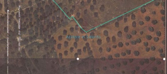 Terrain à Presicce Acquarica, Italy No. 62813 12