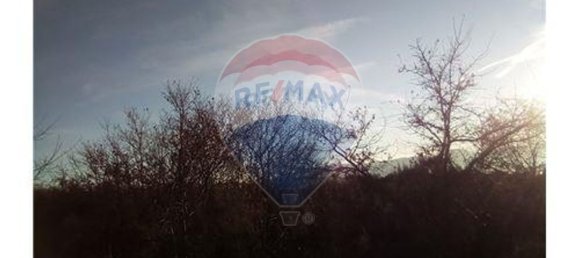 7300m² Land in Baiao, Portugal No. 58664 3