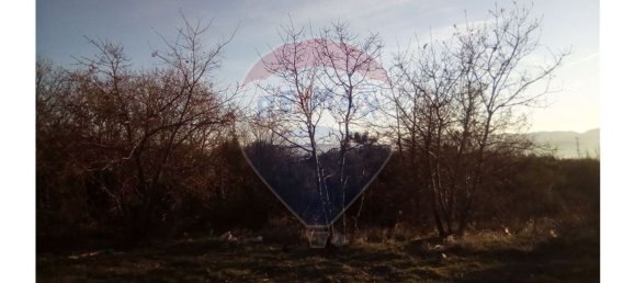 7300m² Land in Baiao, Portugal No. 58664 4