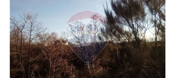 7300m² Land in Baiao, Portugal No. 58664 2