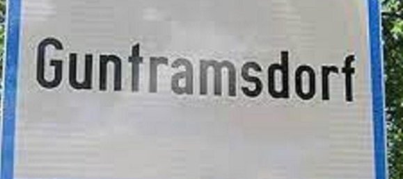 Terrain à Guntramsdorf, Austria 597m² No. 201684 10