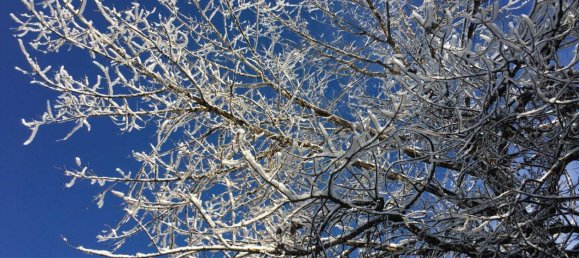 3-Zimmer Wohnung in Kitzbühel, Austria, Nr. 241891 32