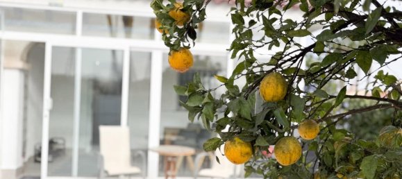 3 bedrooms House in Dehesa De Campoamor, Spain No. 191313 18