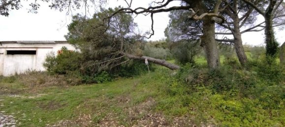 Земельный участок 122040м² в Лориш, Португалия № 168612 12