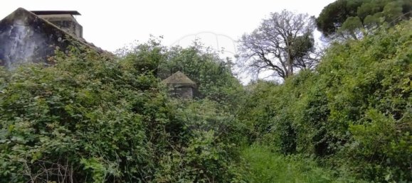 Земельный участок 122040м² в Лориш, Португалия № 168612 17