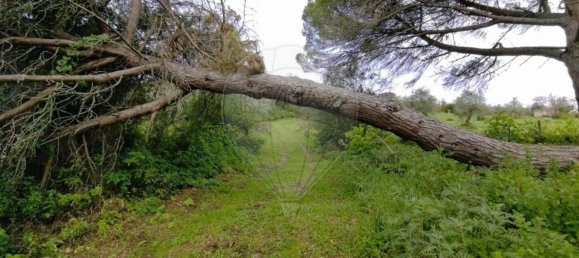 Земельный участок 122040м² в Лориш, Португалия № 168612 7