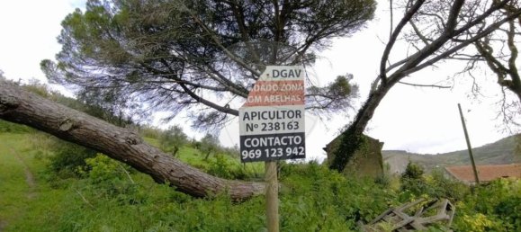 Земельный участок 122040м² в Лориш, Португалия № 168612 8