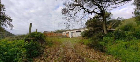 Земельный участок 122040м² в Лориш, Португалия № 168612 11