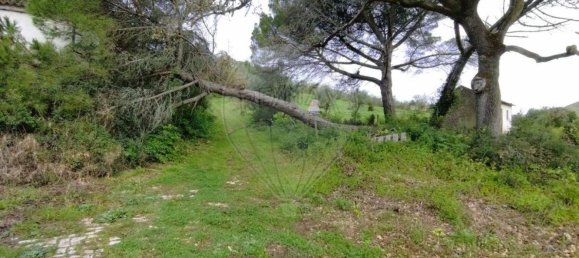 Земельный участок 122040м² в Лориш, Португалия № 168612 9