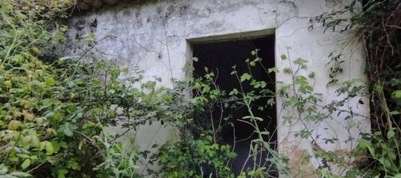 Земельный участок 122040м² в Лориш, Португалия № 168612 16