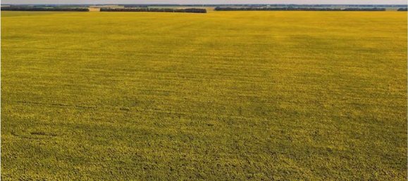 Land in Ozzero, Italy No. 364778 8