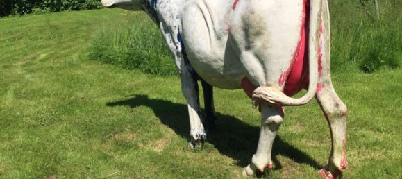 3 غرف نوم منزل في Dohis, France رقم 64388 30