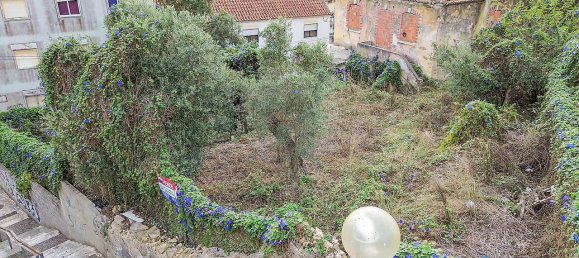 3 غرف نوم منزل في Sintra, Portugal رقم 181907 6