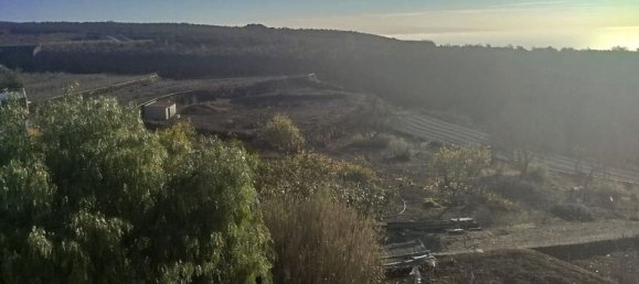  قطعة أرض في Vilaflor, Spain رقم 147334 26