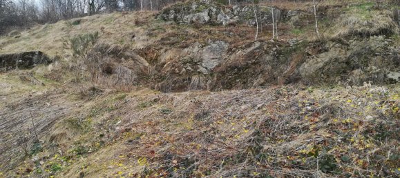 Terreno em Lorrach, Germany N.º 812 3