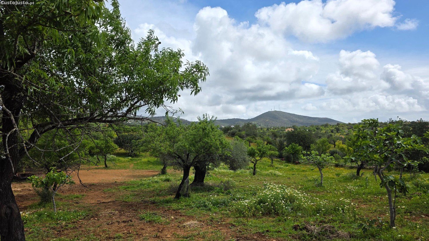 Grundstück in Faro, Portugal 2800m², Nr. 347173