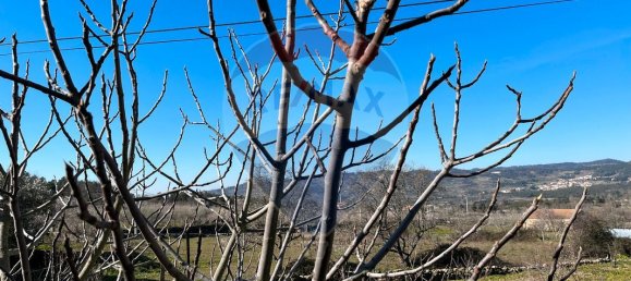 3 Schlafzimmer Haus in Seixo de Ansiaes, Portugal, Nr. 40845 6