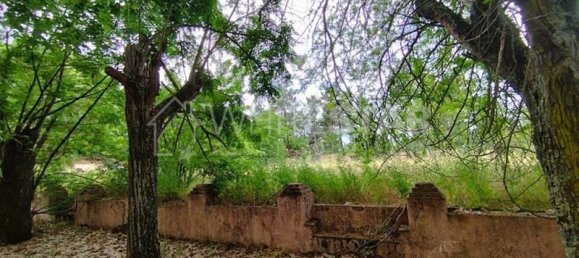 5 bedrooms House in Tramagal, Portugal No. 29958 20