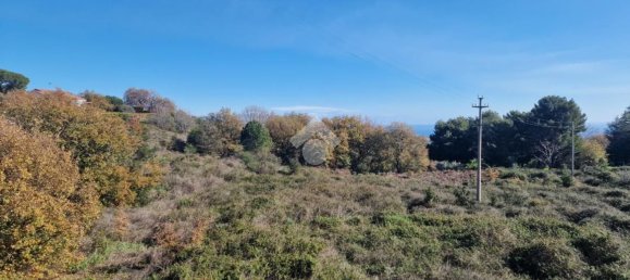 Terrain à Viagrande, Italy No. 336228 22
