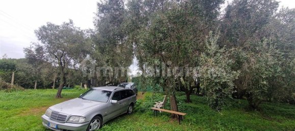 5-Zimmer Gewerbliche Immobilie in Rome, Italy, Nr. 89074 4