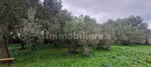 5-Zimmer Gewerbliche Immobilie in Rome, Italy, Nr. 89074 3