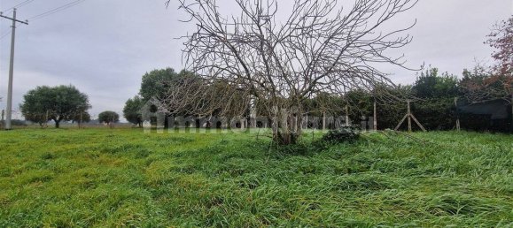 5-Zimmer Gewerbliche Immobilie in Rome, Italy, Nr. 89074 11