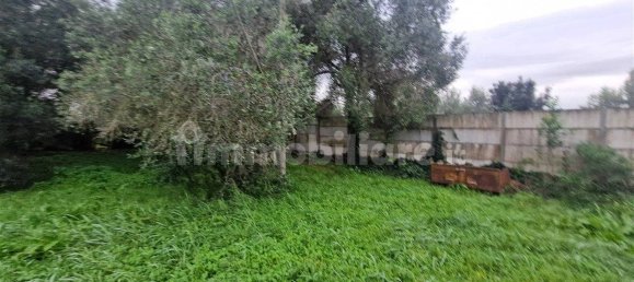 5-Zimmer Gewerbliche Immobilie in Rome, Italy, Nr. 89074 29