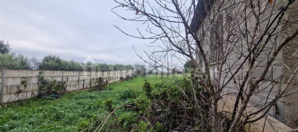 5-Zimmer Gewerbliche Immobilie in Rome, Italy, Nr. 89074 26