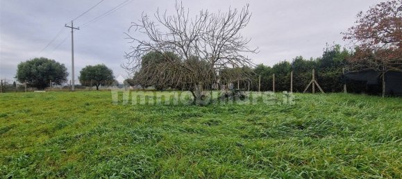 5-Zimmer Gewerbliche Immobilie in Rome, Italy, Nr. 89074 7