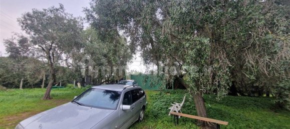 5-Zimmer Gewerbliche Immobilie in Rome, Italy, Nr. 89074 32