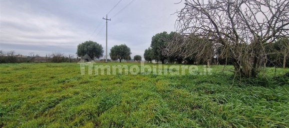 5-Zimmer Gewerbliche Immobilie in Rome, Italy, Nr. 89074 12