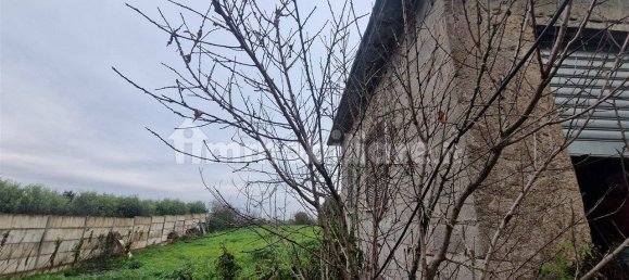 5-Zimmer Gewerbliche Immobilie in Rome, Italy, Nr. 89074 27