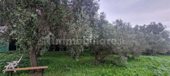 5-Zimmer Gewerbliche Immobilie in Rome, Italy, Nr. 89074 33