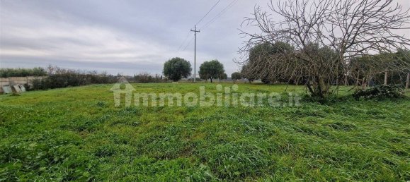 5-Zimmer Gewerbliche Immobilie in Rome, Italy, Nr. 89074 6