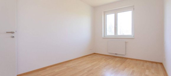 3 rooms Apartment in Kirnberg an der Mank, Austria No. 161684 5